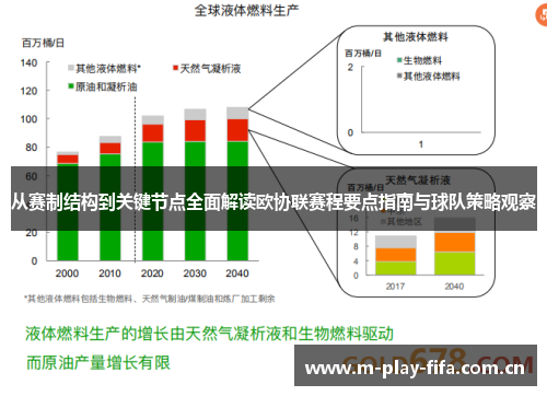 从赛制结构到关键节点全面解读欧协联赛程要点指南与球队策略观察